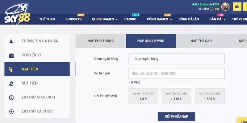 Nạp tiền Sky88 - Cách để trải nghiệm kho cá cược nhanh nhất 2 Nạp Tiền Paywin Tiện Lợi Đảm Bảo An Toàn Cao Cho Hội Viên
